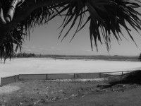 /album/photography/nesian-picture-6-copy-jpg/